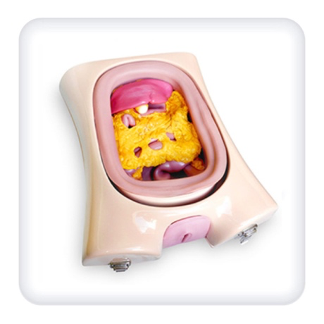 Qarın və kiçik çanaq orqanlarının laparoskopik cərrahiyyəsi üzrə təlim modeli